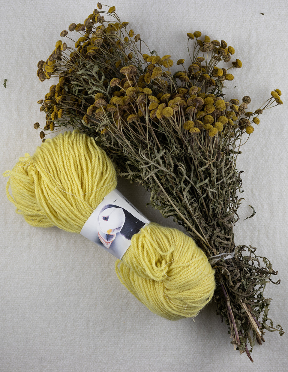 Gul Lunde 3 ply, 50/100g (Yellow Puffin) 