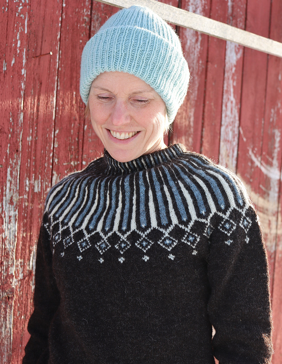 ANNA 2-ply Skarv with plant-dyed, knitting kit